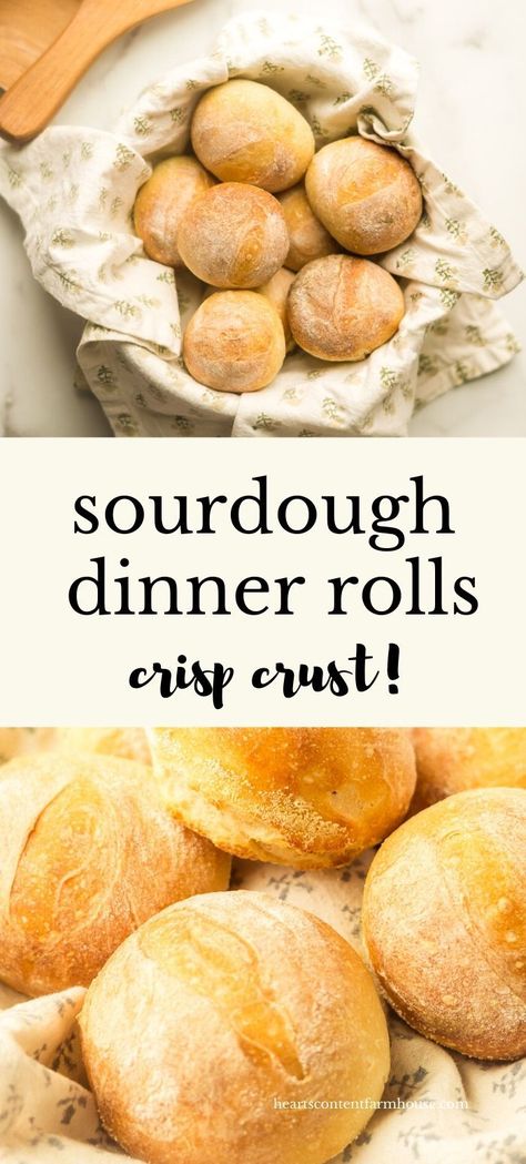 Sustainable Cooking, Dough Starter Recipe, Sourdough Dinner, Sourdough Dinner Rolls, Easy Sourdough Bread Recipe, Recipe Using Sourdough Starter, Sourdough Rolls, Dough Starter, Sourdough Starter Discard Recipe