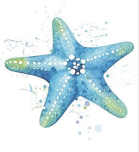 Sea Star Watercolor, Painted Sea Creatures, Sea Turtle Watercolor Painting Tutorial, Nautical Watercolor Painting, Marine Life Drawing Simple, Watercolour Sea Animals, Sting Ray Watercolor, Star Fish Drawings, Star Fish Painting