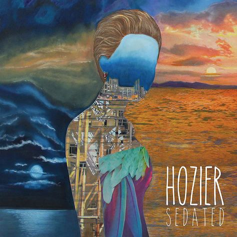 hozier Album Art Aesthetic, Hozier Album Cover, Jeff Buckley, 3dprinting Design, Hozier, Music Covers, Music Genres, Art Aesthetic, All Music