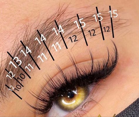 Whispy Lashes Extensions Map, Lash Mapping Eyelash Extensions, Tattoo Artist Tattoo, Lash Mapping, Lash Extentions, Lashes Fake Eyelashes, Eyelash Tips, Eyelash Technician, Lash Extensions Styles