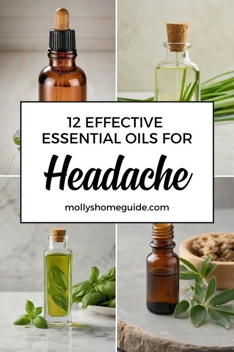 Discover the soothing power of essential oils for headaches with this curated collection. Whether you have a migraine or just needing relief, these oils can help alleviate discomfort. Try diffusing a blend of Peppermint and Lavender in a rollerball to apply on temples for quick relief. For kids, consider using gentle oils like Copaiba or Young Living blends in a bath. Create your personalized headache relief kit using Doterra and experiment with different combinations until you find what works b Essential Oils For Headaches Rollerball, Headache Essential Oil Blend Rollerball, Diy Migraine Relief Essential Oils, Migraine Relief Essential Oils, Headache Essential Oil, Oils For Headaches, Headache Relief Essential Oils, Oils For Migraines, Pain Relief Essential Oils