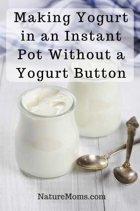 Instant Pot Yogurt Recipe, Whey Recipes, Yogurt Making, Instant Pot Yogurt, Making Yogurt, Keto Diet Benefits, Starting Keto Diet, Keto Diet Food List, Paleo Lunch