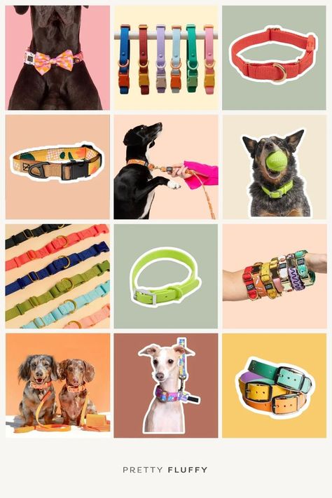 12 image grid of various dogs wearing colorful dog collars Dog Accessories Packaging, Dog Collar Product Photography, Leather Dog Collar, Dog Leash Packaging, Sublimation Dog Collar, Preppy Dog Collar, Dog Magazine, Cat Leash, Cute Dog Collars