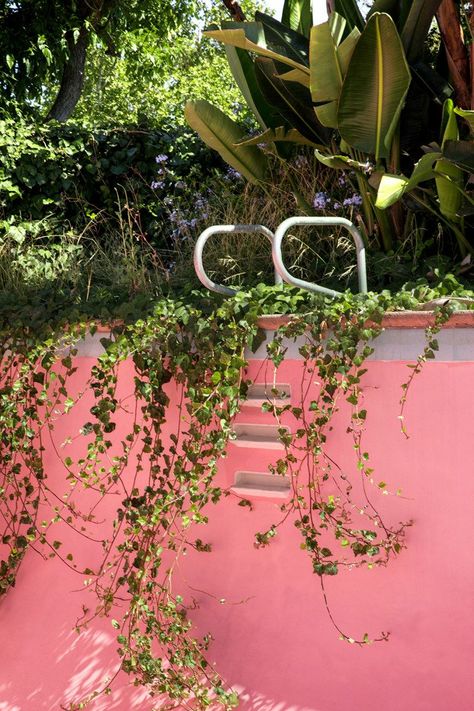 painted pool Pink Pool, San Francisco Girls, Beach Backyard, Bohemian Modern Style, Building A Chicken Coop, Dream Place, Planter Design, Garden Architecture, Pool Time