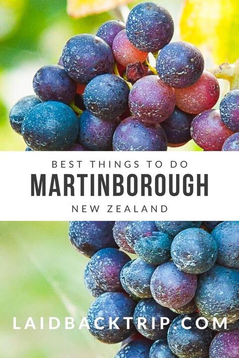 Discover with us Martinborough, a small town in New Zealand which is famous for wine, but there are many other things to see and do here, that you can easily spend in Martinborough a relaxing weekend. Read our travel guide including top attractions, best activities, and also practical information. | #martinboroughnewzealand #martinboroughnz #martinboroughvineyard #toastmartinborough #thingstodoinmartinborough New Zealand Food, Visit New Zealand, Travel Secrets, New Zealand North, Travel Visa, Relaxing Weekend, One Day Trip, Backpacking Tips, Travel Plan