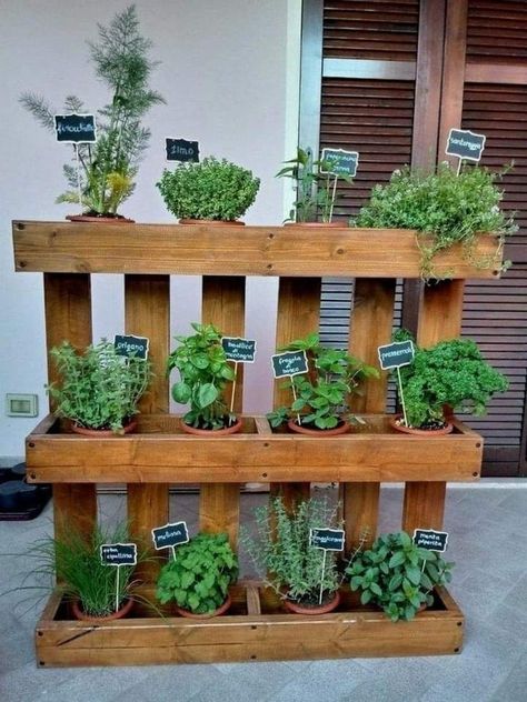 Wheelchair Planter, Balcony Redesign, Tiny Garden Design, Tiny Balcony Garden, Urban Gardening Balcony, Balcony Garden Diy, Indoor Plant Shelves, Tiny Balcony, Garden Activities