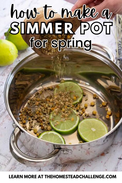 Welcome spring into your home with the delightful aromas of our Simple Spring Floral and Citrus Simmer Pot Recipe! This easy-to-make recipe blends the fresh scents of seasonal flowers with zesty citrus to create a fragrant atmosphere that celebrates the season. Perfect for freshening up your space naturally without chemicals. Whether you're hosting a spring gathering or just enjoying a quiet day at home, this simmer pot is a simple way to infuse your home with the scents of spring.