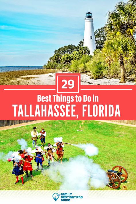 Florida Travel Destinations, Florida Travel Guide, Tallahassee Florida, Family Destinations, Fun Family Activities, Free Things To Do, Free Things, Florida Travel, Fun Things