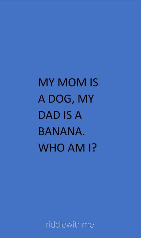 What am I riddles with answers Tough Riddles With Answers, Riddles With Answers Funny Riddles With Answers Funny Brain Teasers, Hard Riddles With Answers Brain Teasers, What Am I Riddles With Answers, Riddles With The Answers, Riddles With Answers Funny Brain Teasers, Tricky Riddles With Answers Funny, Good Riddles With Answers, Difficult Riddles With Answers