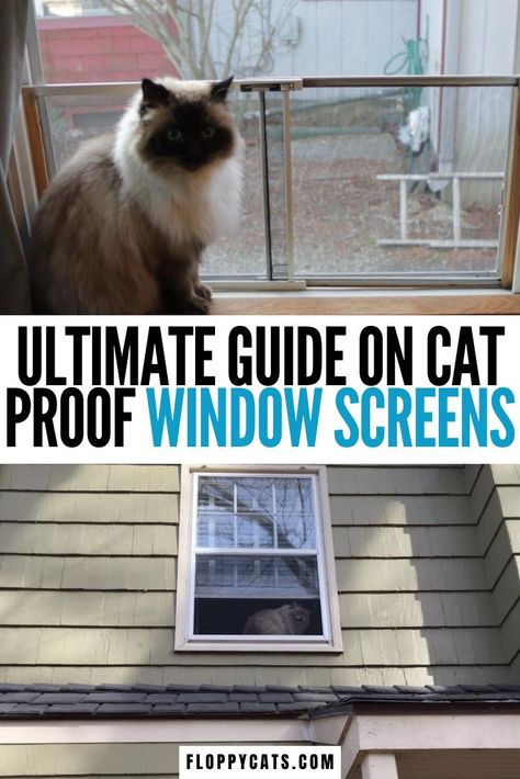 Cat Proof Window Treatments, Cat Screen Door, Cat Proof Window Screen, Cat Proof Apartment, Cat Proof Window, Cat Window Protection, Cat Window Box Diy, Cat Proof Screen Door, Cat Tunnel Outdoor Window