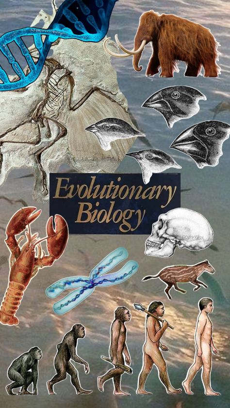 Biology Aesthetic, Evolutionary Biology, Biology, Quick Saves