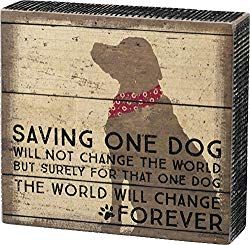 Dog Box, Signs Funny, Paper Store, Sign Wall Decor, Primitives By Kathy, Pet Signs, Dog Silhouette, Dog Decor, Dog Signs