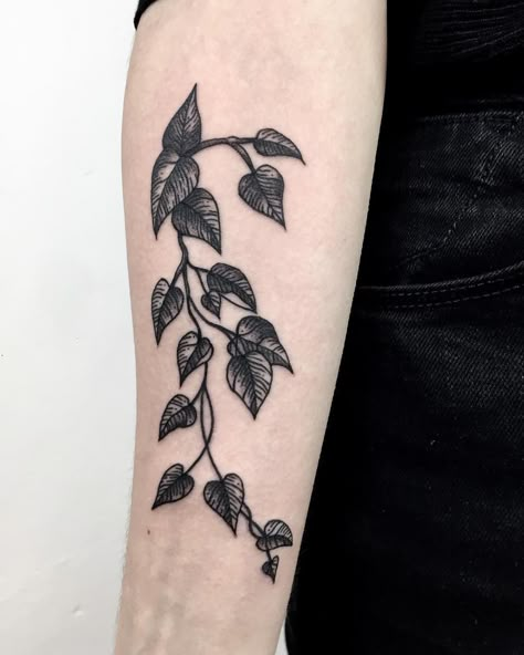 Pothos Vine Tattoo, Vine Tattoo Arm, Shoulder Piece Tattoo, Black And White Flower Tattoo, Pothos Vine, Black Line Tattoo, Vine Tattoo, Upper Arm Tattoos, Bicep Tattoo