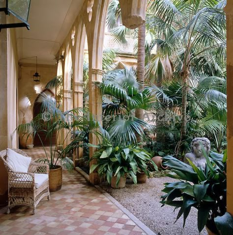 Colonial Style Garden, British Colonial Garden, French Terrace, Frock Design Ideas, Palm Trees Garden, Baby Frock Design, Interior Courtyard, Colonial Garden, Gardening Quotes