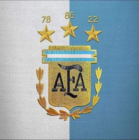 Argentina Logo, Messi Funny, Fc Barcelona Wallpapers, Argentina Football, World Cup Champions, Rick Astley, Leonel Messi, Messi Argentina, Football Logo