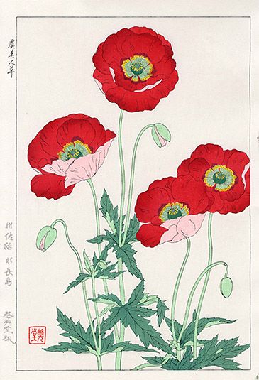 UmVkIFBvcHB5OiBGdW4tTG92aW5n Art Chinois, Poppy Art, Illustration Botanique, Japanese Flowers, Art Japonais, Art Et Illustration, Japanese Woodblock Printing, Japanese Painting, Botanical Drawings