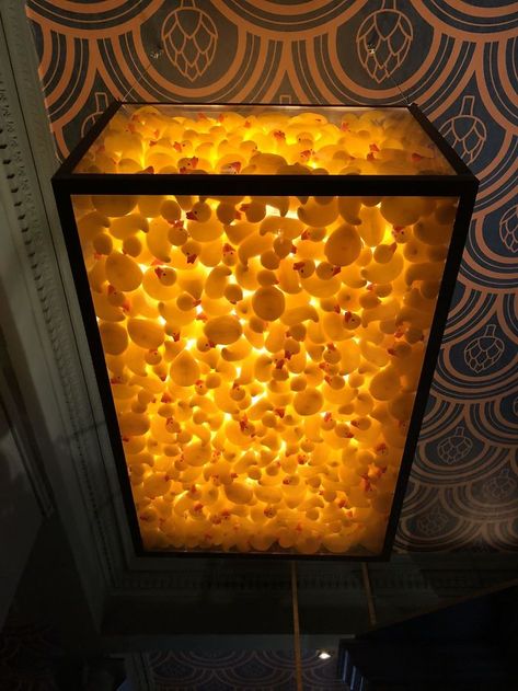 I Found This Ceiling Light Full Of Rubber Ducks In A Pub In Edinburgh Duck Race, What The Duck, Lounge Club, Rubber Ducks, Funky Junk, Rubber Ducky, Bar Ideas, Mellow Yellow, Rubber Duck