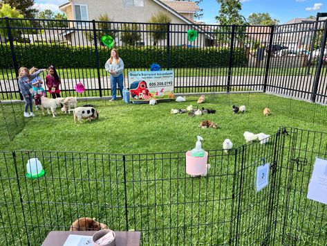 Small Petting Zoo Ideas, Mobile Petting Zoo Business, Mobile Petting Zoo Ideas, Petting Zoo Ideas, Petting Zoo Farm, Mobile Petting Zoo, Rabbit Enclosure, Zoo Ideas, Farm Themed Party