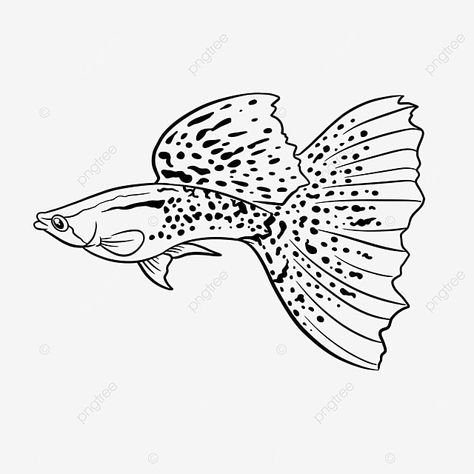 Drawing Fish, Fish Outline, Fish Sketch, Logo Outline, Guppy Fish, Fish Drawing, Outline Drawing, Fish Drawings, Outline Drawings