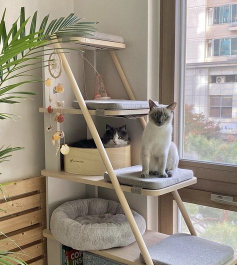 Cute Cat Condo, Cat Steps To Window, Home Office With Cats, Cat Places In Home, Cat Apartment Ideas Diy, Small Cat Area In House, Cat Setup Apartment, Cat Friendly Bedroom Ideas, Ikea Hacks Cats