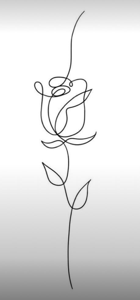 Single Line Drawing, Cute Notes, Single Line, Drawing Base, Wire Art, Flower Drawing, Line Drawing, Line Art, Illustration Art