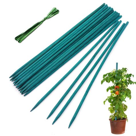 HAINANSTRY Garden Wood Plant Stakes Green Bamboo Sticks, Sturdy Floral Plant Support Stakes Wooden,Wooden Sign Posting Garden Sticks(25 Pack 18 Inches) Garden Sticks, Plant Support Stakes, Bamboo Stakes, Garden Wood, Plant Ties, Support Pictures, Plant Stakes, Green Bamboo, Plant Markers