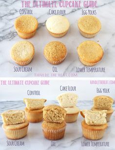 Make the cupcake of your dreams! The Ultimate Cupcake Guide: what makes cupcakes light, greasy, fluffy, dense, crumbly, or moist! Ultimate Cupcake Recipe, Cookie Shop, Bread Puddings, Cupcakes Ideas, Baking 101, Beautiful Cupcakes, Donut Shop, Baking Ideas, Cake Decor