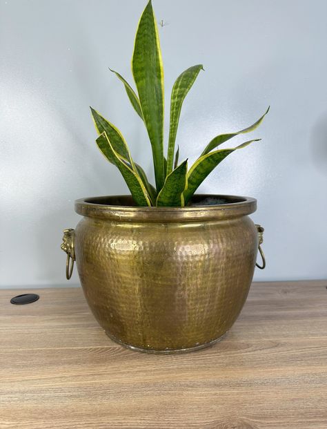 Brass Pots Decor, Vintage Brass Planter, Brass Plant Stand, Brass Planter Decor, Interior Planters, Brass Aesthetic, Chinoiserie Planter, Vintage Gold Mirror, Vintage Brass Decor