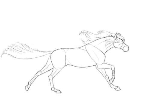 Horse Running Gif Horse Gif, Running Horse, A Drawing, A Horse, Line Drawing, Gif, Running, Tumblr