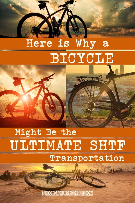 Shtf Vehicle, Diy Greenhouse Plans, Bug Out Vehicle, Emergency Preparation, Survival Life Hacks, Greenhouse Plans, Emergency Plan, Prepper Survival, Survival Life