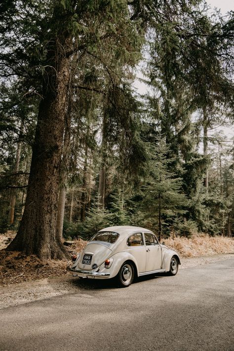 White Volkswagen Beetle, White Volkswagen, Running Pictures, Car Iphone Wallpaper, Beetle Car, Car Goals, Vintage Vw, Dirt Road, Classy Cars