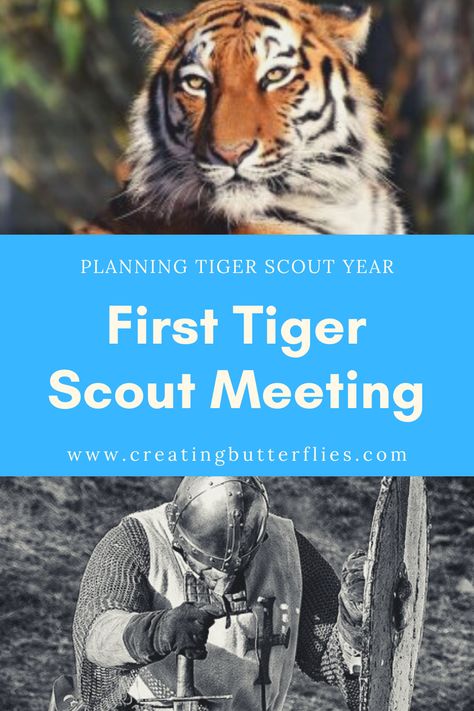 Tiger Scout Crafts, Tiger Bites Cub Scouts Activities, Tiger Scout Activities, Tiger Scout Den Meeting Ideas, Tiger Cub Scouts Activities, Boy Scout Activities, Cub Scouts Wolf, Cub Scouts Bear, Tiger Scouts