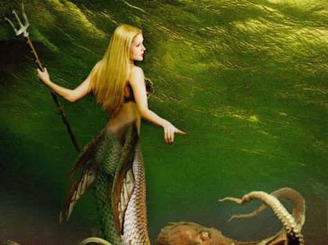 Lagoon mermaid What kind of mermaid are you quiz? New Hair Quotes, Types Of Mermaids, Hair Quotes Funny, Test Quiz, Elves And Fairies, Online Quizzes, Pop Quiz, Hair Quotes, Buzzfeed Quizzes