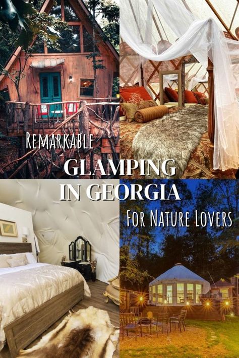 When Glamping Georgia, you have so many unique choices in accommodations, and in this article we will show you some of our favorite Georgia Glamping properties that you can book on your next Glamping in Georgia Getaway. Glamping In Georgia, Georgia Getaways, Glamping Resorts, Camping Sites, Lake Oconee, Luxury Glamping, Driftwood Beach, Luxury Camping, Countries To Visit