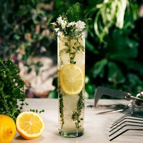 Elderflower Collins, Collins Cocktail, Elderflower Cordial, Mint Sprig, Crushed Ice, Summer Cocktail Recipes, Highball Glass, Easy Cocktails, The Grove