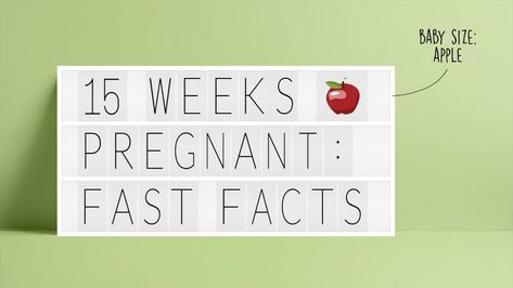 text: 15 weeks pregnant: fast facts Pregnancy Video, Baby Eyebrows, 21 Weeks Pregnant, 15 Weeks Pregnant, Pregnant Sleep, Pregnancy Videos, Pregnancy Apps, Amniotic Fluid, Birthing Classes