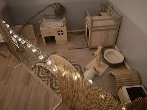 Cute Bunny Setup Ideas, House Bunny Set Up, Bunny Pens Indoor, Small Bunny Enclosure Indoor, Bunny Setup Ideas, Cute Rabbit Enclosure, Rabbit Cage Setup Indoor, Bunny Cages Aesthetic, Bunny Diy House