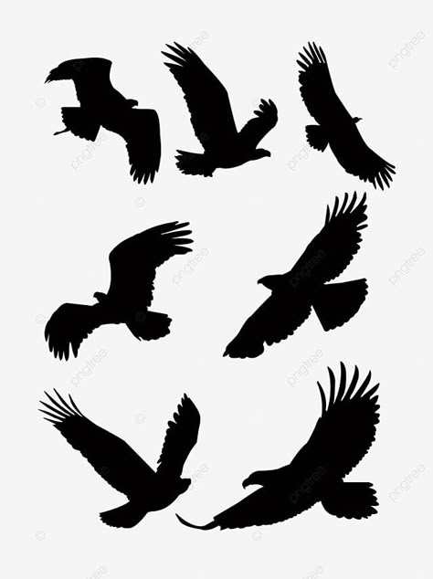 Bald Eagle Silhouette, Silhouette Of Animals, Eagle Sillouhette, Eagle Graphic Design, Eagle Svg Free, Silhouette Images Free, Eagle Template, Eagle Stencil, Skull Drawing Tattoo