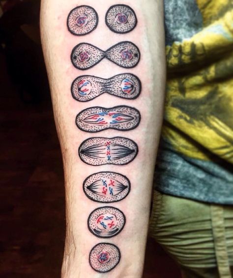 Out of Step Books Publishing on Instagram: “Check out this rad #mitosis #cell splitting #tattoo by @evedoestattoos at @black_iris_tattoo! Super cool piece and perfect for all of you #biology and science nerds! Viva la Creativity! ” Biology Tattoo, Scientific Tattoo, Science Tattoo, Science Tattoos, Iris Tattoo, Different Tattoos, Black Iris, Get A Tattoo, Love Tattoos