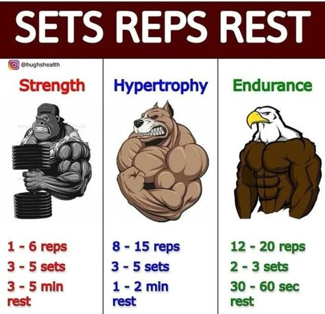 Calisthenics Workout For Beginners, Workout Gym Routine, Gym Workout Guide, Speed Workout, Work Out Routines Gym, Gym Workout Planner, Full Body Workout Routine, Bodybuilding Workout Plan, Gym Workout Chart