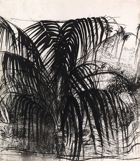 Luca Di Stanio on Instagram: “{nero} lunedì. #BrettWhiteley Brett Whiteley, Palm tree, Bali (1976).” Brett Whiteley, Australian Painters, Monthly Challenge, Drawing Studies, Artist Models, Sumi E, Indigenous Art, Charcoal Drawing, Ink Illustrations