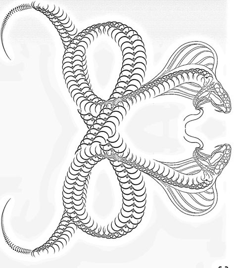 Double Snake Tattoo Back, 2 Snake Tattoo, Snake On Knee Tattoo, Twin Snakes Tattoo, Symmetrical Lower Back Tattoo, Cobra Back Tattoo, Snake Stomach Tattoo, Back Snake Tattoo, Snake Stencil