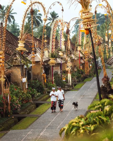 • It’s that festive time of year again! 🎉 Galungan has arrived here in Bali—my absolute favorite celebration of the year. This holiday, which happens twice annually, marks the victory of dharma (good) over adharma (evil). It’s a time when ancestral spirits are believed to visit the earth, and everyone decorates their homes with beautiful penjor (like these in the photos), tall bamboo poles with offerings. This vibrant celebration lasts for 10 days, with rituals, prayers, and family gatheri... Bamboo Poles, Jimbaran, Balinese, 10 Days, The Earth, Victorious, Bali, Festival, 10 Things