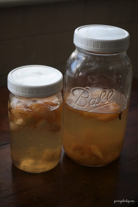 Enjoy this warming and delightful kombucha recipe with any pome fruit like pear, apple, or quince. It's a unique flavor and the perfect second ferment to enjoy kombucha in the cold fall and winter months! Pear Kombucha, Kombucha Recipe, Gallon Jars, Spiced Pear, Citrus Juice, Individual Servings, First Bite, Fermenting, Kombucha