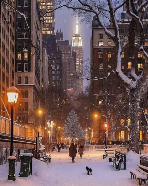 New York Aesthetic Winter, Winter In New York, I Smell Snow, Christmas In New York, Tis The Damn Season, In The Pale Moonlight, New York Architecture, Christmas Dreaming, I Love Snow