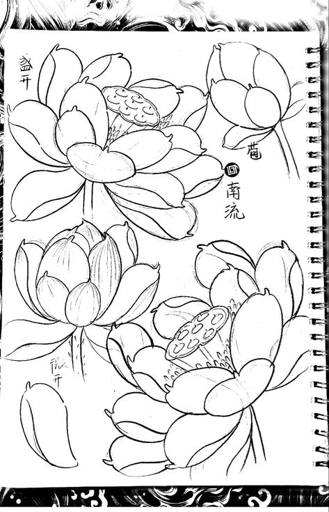 Vietnam Lotus Tattoo, Lotus Flower Japanese Tattoo, Neotraditional Flowers, Traditional Japanese Tattoo Designs, Flor Tattoo, Japanese Lotus, Printable Flower Coloring Pages, Japanese Flower Tattoo, Lotus Tattoo Design