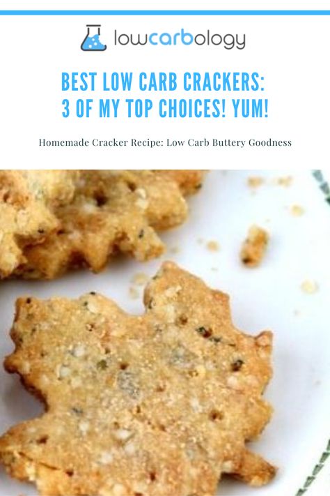 Keto Gram Cracker, Keto Friendly Crackers, Low Carb Crackers Store Bought, Keto Cheese It Crackers, 2 Ingredient Keto Cheese Crackers, Low Carb Crackers Recipes, Cheese Straws Recipe, Homemade Crackers Recipe, Low Carb Crackers