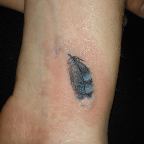 Blue Jay Wings Tattoo, Bluebird Feather Tattoo, Blue Bird Feather Tattoo, Small Blue Jay Tattoo, Bluejay Feather Tattoo, Blue Jay Feather Tattoo, Ash Tattoo, Jrwi Riptide, Blue Jay Tattoo