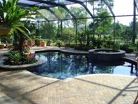 Florida Patio, Lanai Design, Florida Lanai, Pool Screen, Daytona Florida, Florida Pool, Backyard Hammock, Florida Landscaping, Outside Pool