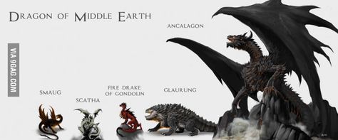 When you realize after reading Tolkien that Ancalagon the Black was huge... You know that Smaug was an amateur... Dragons Of Middle Earth, Ancalagon The Black, Dragons Tumblr, Tolkien Artwork, Tolkien Books, Lotr Art, Tolkien Art, Jrr Tolkien, Dragon Drawing